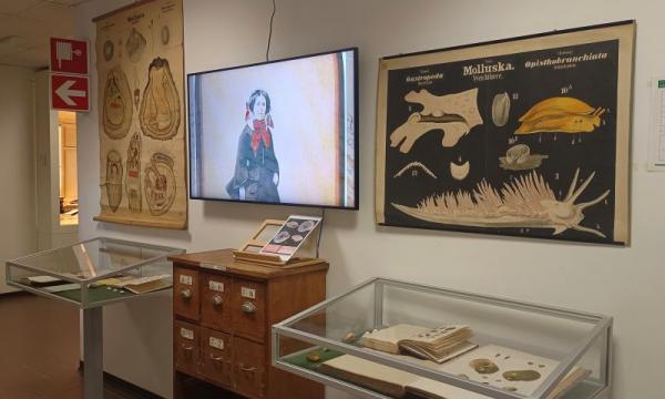 Cercare il piccolo pensando in grande. Esposizione di documenti
